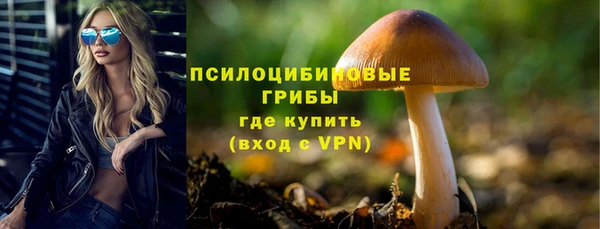 кристаллы Мегион