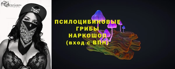 МДПВ Медногорск