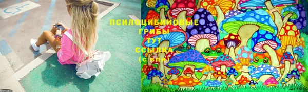 ешки Михайловск