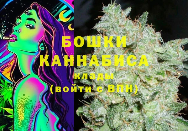 МДПВ Медногорск